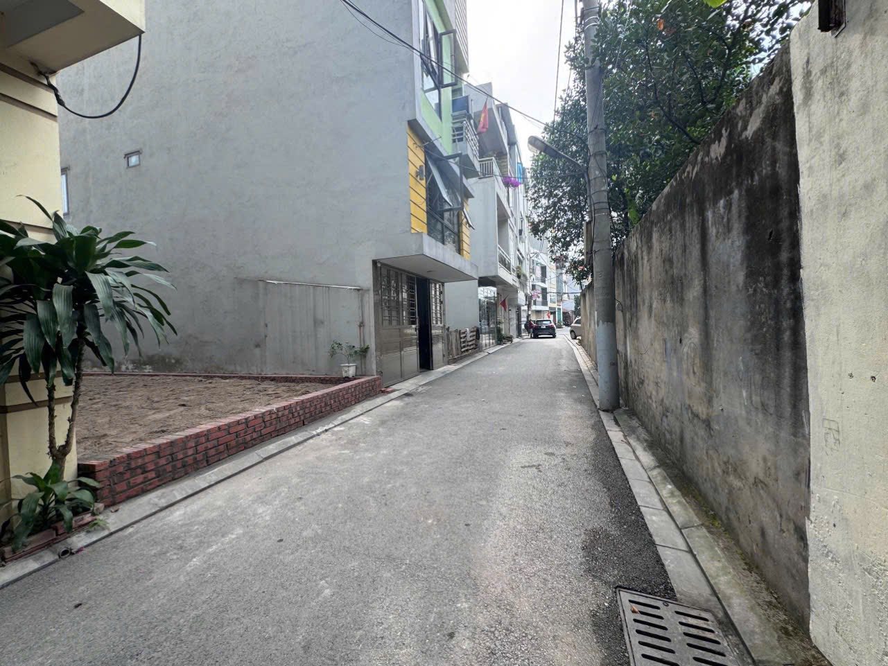 CHÍNH CHỦ BÁN ĐẤT – Z153 (Tổ 11 cũ TTĐA, Thư Lâm) - Ảnh 2