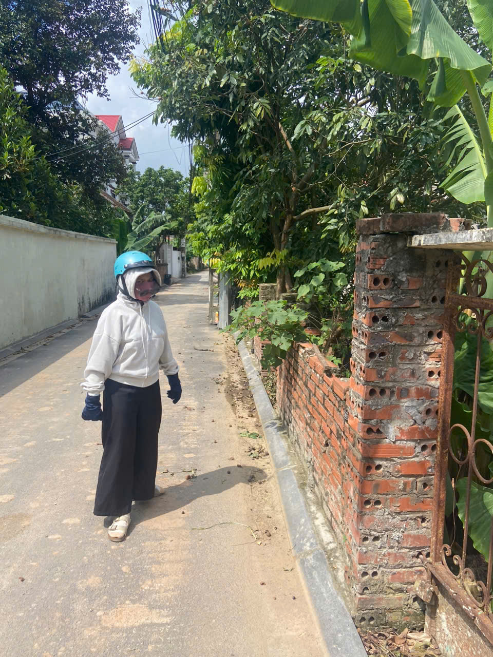 Bán Đất tặng nha cấp 4 Lại Đà Đông Anh- Hàng xóm Vin Cỏ Loa -Nở Hậu- 75m nhỉnh 10 tỷ (TL) - Ảnh 1