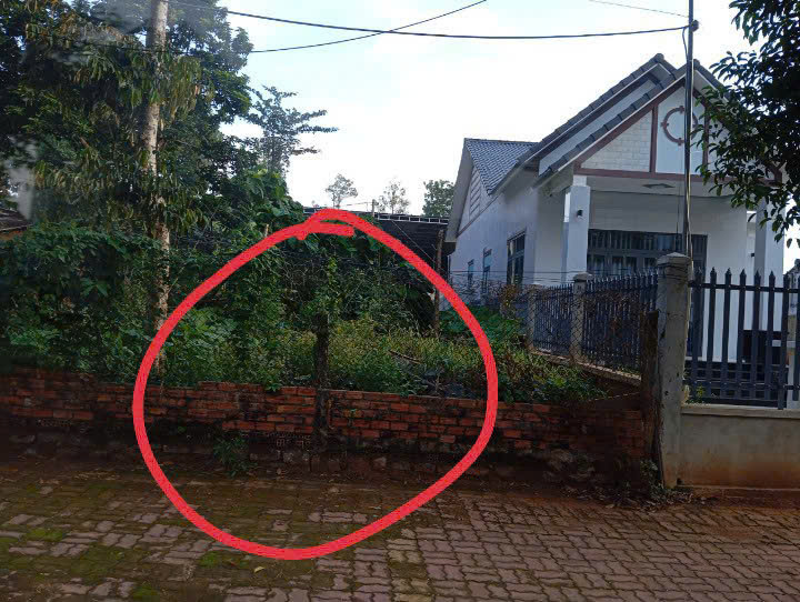Chủ cần bán căn nhà mt nguyênc văn trổi xã Ngãi giao- hcm - Ảnh 1