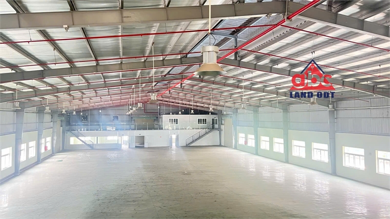 XTLT Nhà Xưởng kiên cố, khuôn viên SX độc lập, phù hợp thành lập DN chế xuất - Ảnh 3