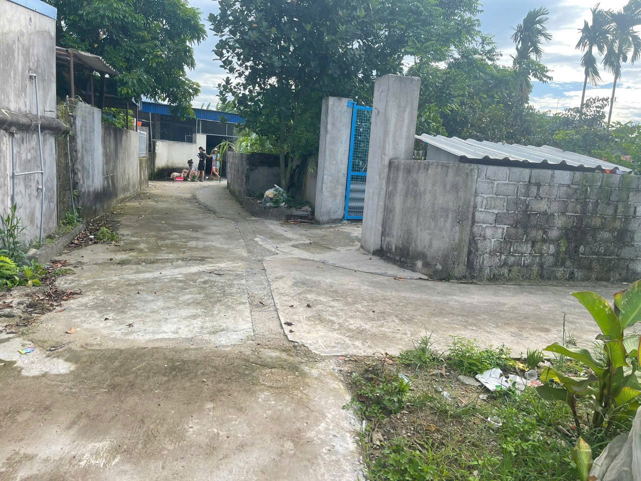 590 tr 100m2 Nghi Dương Kiến Thụy Zalo 0567222555 - Ảnh 3