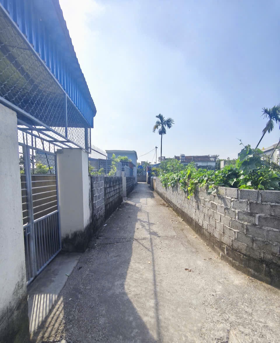 590 tr 100m2 Nghi Dương Kiến Thụy Zalo 0567222555 - Ảnh chính
