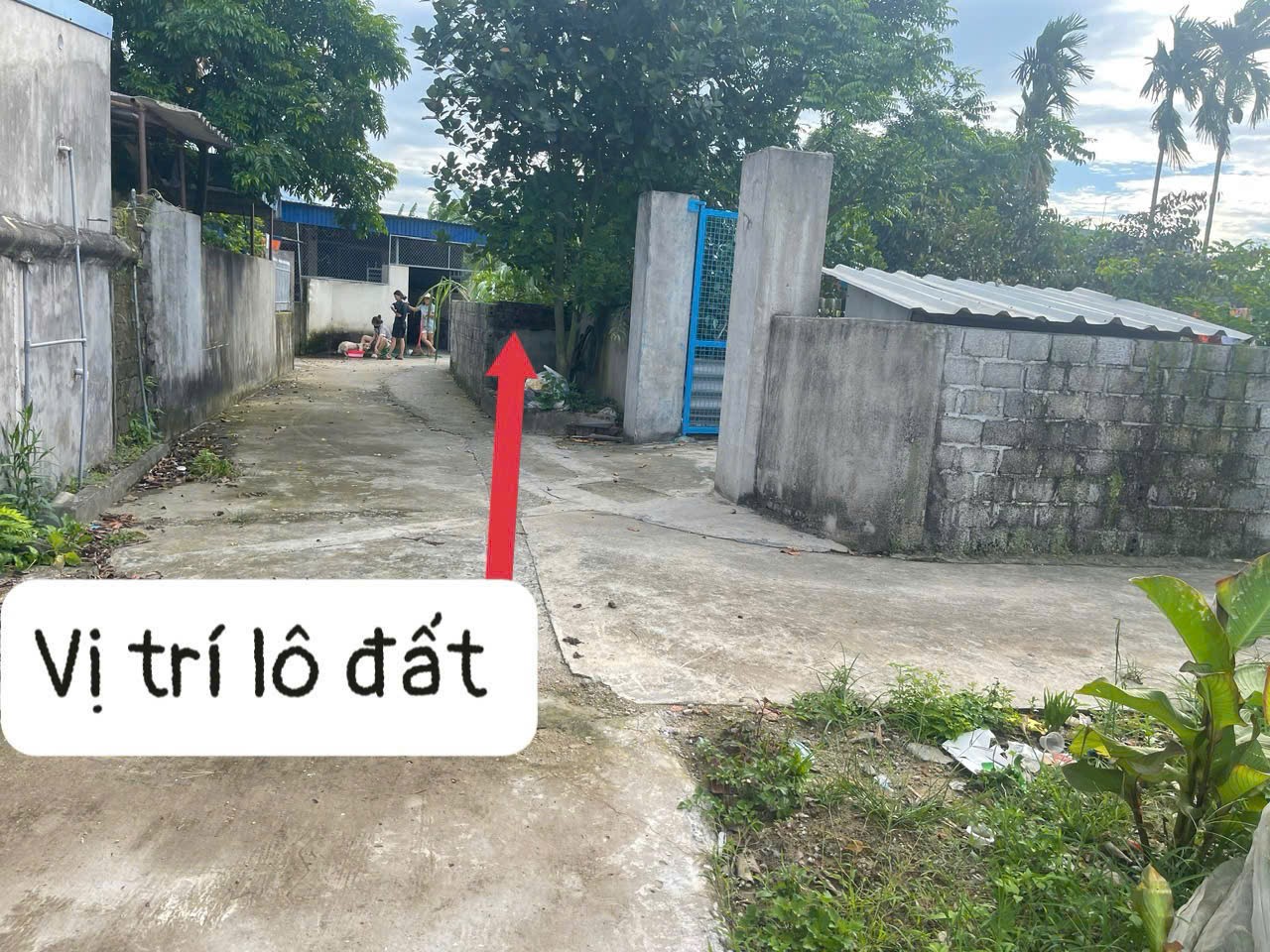 590 tr 100m2 Nghi Dương Kiến Thụy Zalo 0567222555 - Ảnh 1