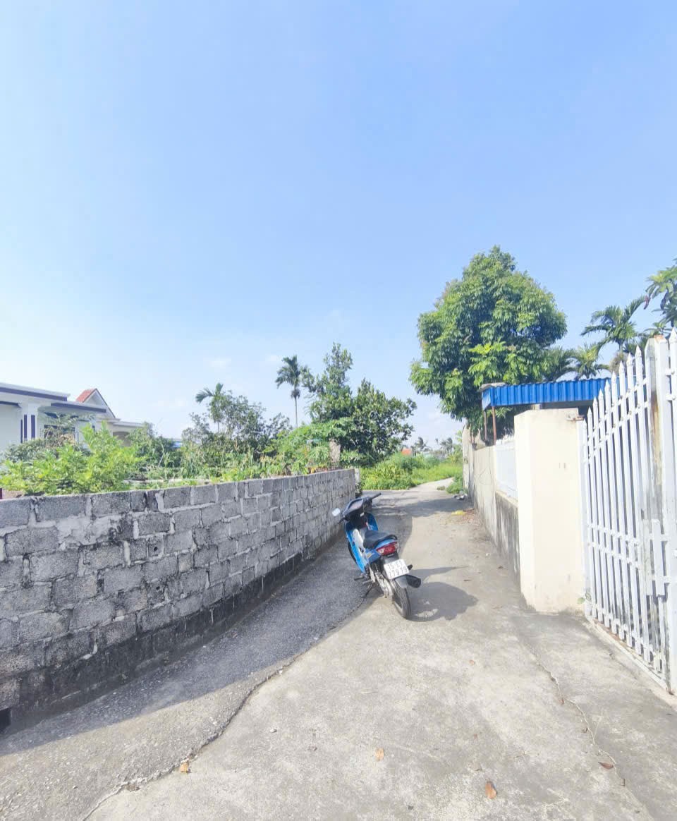 590 tr 100m2 Nghi Dương Kiến Thụy Zalo 0567222555 - Ảnh 4