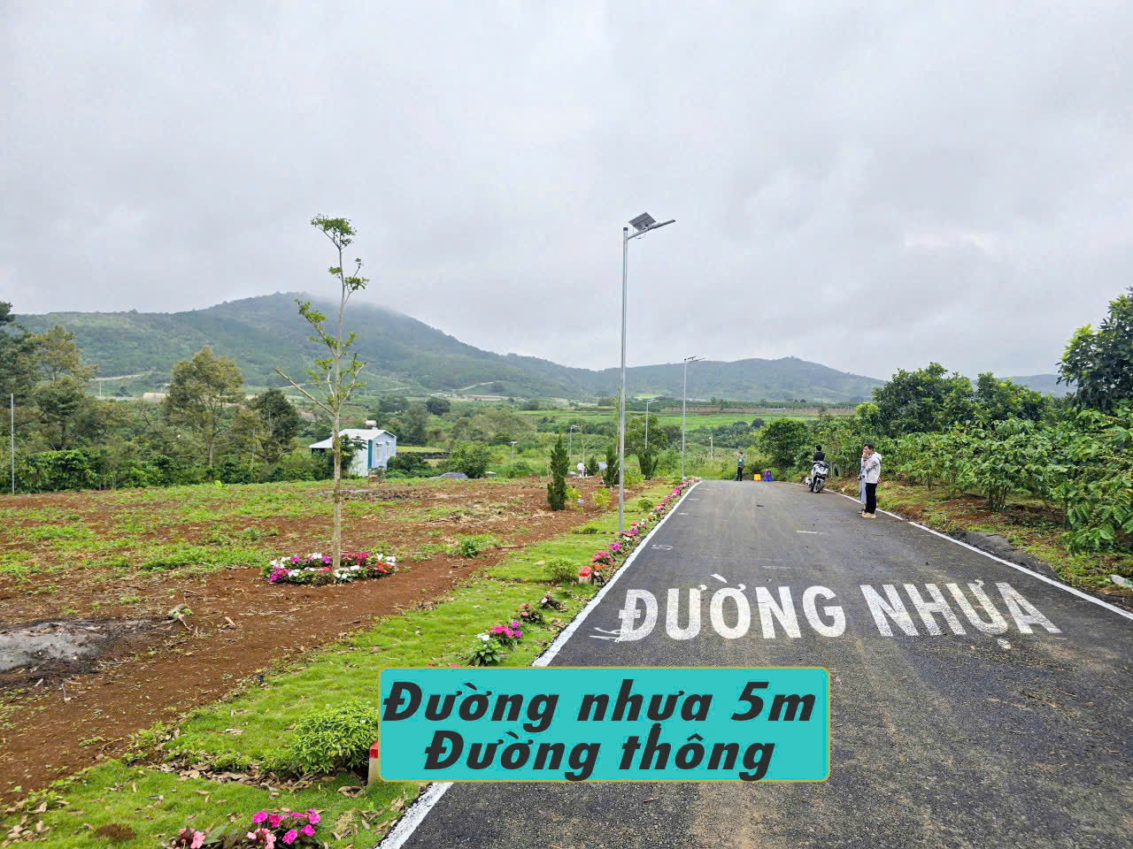 LÔ ĐẤT VỊ TRÍ ĐẸP- ĐẦU TƯ LÀ SINH LỜI CẦN BÁN NHANH LÔ ĐẤT TIỀM NĂNG TẠI huyện Đức Trọng,  Lâm Đồng - Ảnh 2