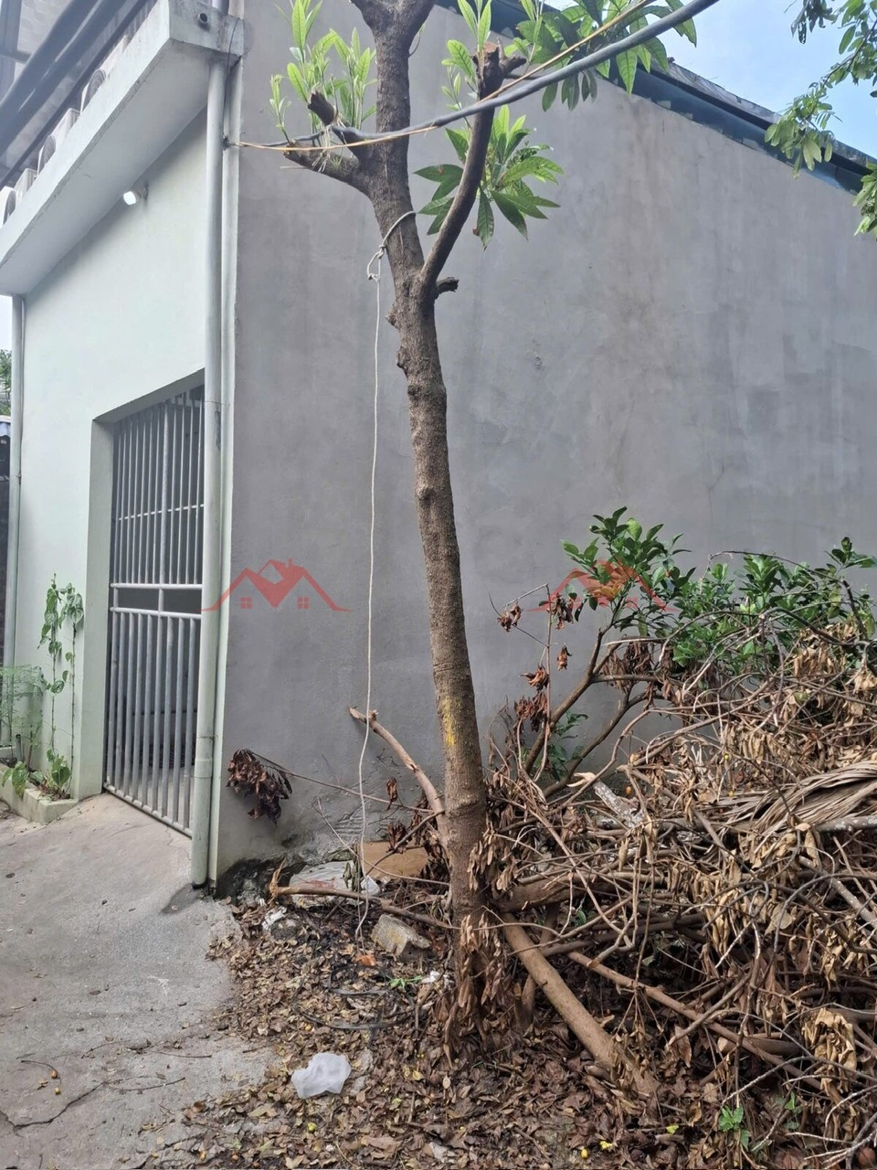 BÁN ĐẤT TẶNG NHÀ 59M TẠI NGỌC HÒA-CHƯƠNG MỸ-HÀ NỘI - Ảnh chính