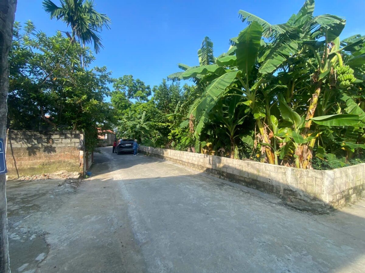 HÀNG FO DÀNH CHO NHÀ ĐẦU TƯ PHÂN LÔ 486M TẠI THỦY XUÂN TIÊN-CHƯƠNG MỸ-HÀ NỘI - Ảnh 1