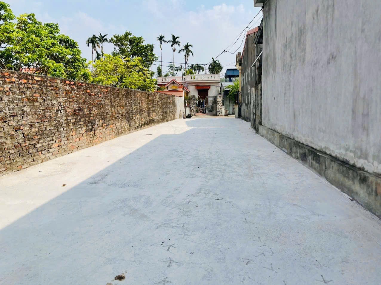 1.15 tỷ 80.5m2 Xuân La Thanh Sơn Kiến Thụy Zalo 0567222555 - Ảnh chính