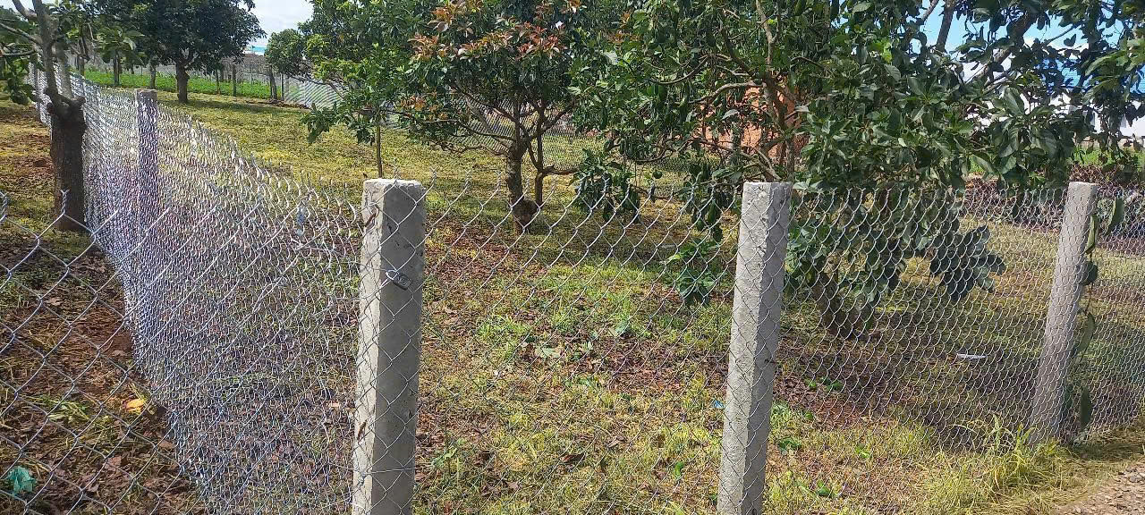Bán 394m2 đất xã tân hội, đức trọng lâm đồng - Ảnh 1