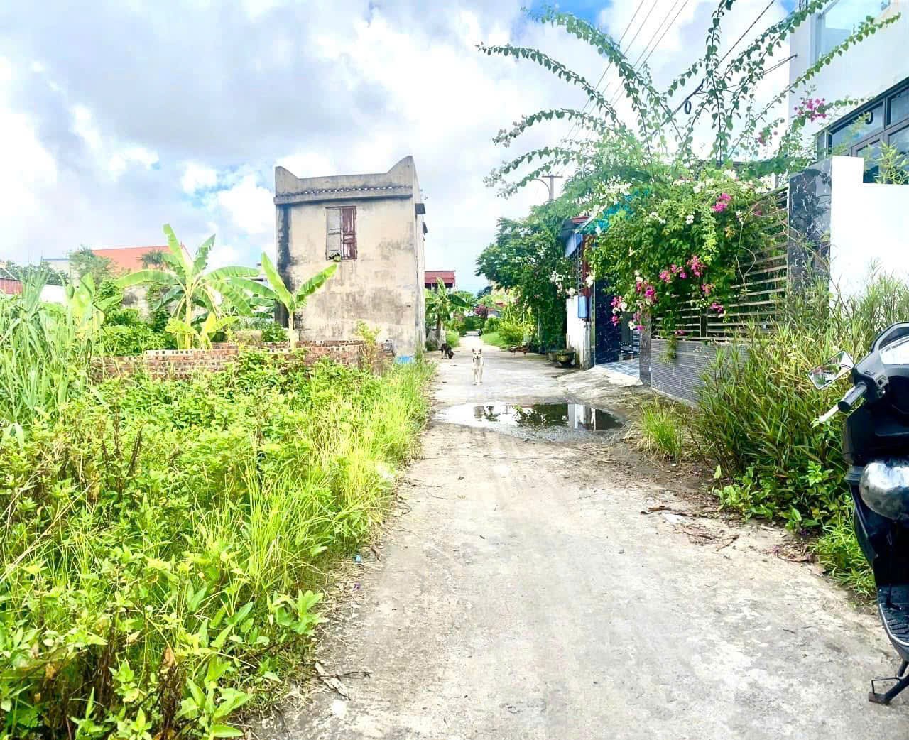 1.5 tỷ 88m2 ngõ 199 Tân Thành Dương Kinh Zalo 0567222555 - Ảnh 4