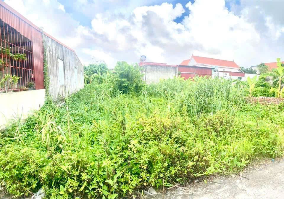1.5 tỷ 88m2 ngõ 199 Tân Thành Dương Kinh Zalo 0567222555 - Ảnh 3