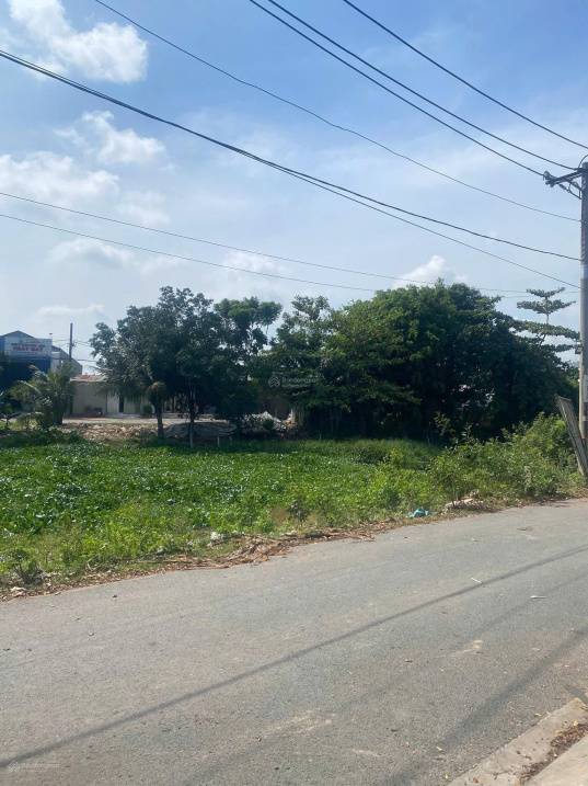 Chính chủ bán gấp chính chủ bán gấp lô đất 146.8m2 - MT Trần Hải Phụng, Bình Tân - Kẹt bank cắt lỗ - Ảnh 4