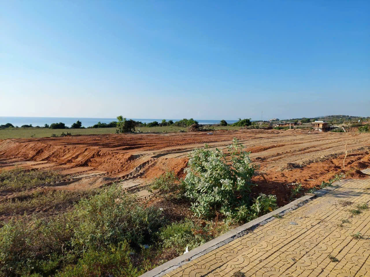 Bán đất 1000m2 tại đường 701, Xã Phước Dinh, Thuận Nam, Ninh Thuận, giá cực rẻ - Ảnh 1
