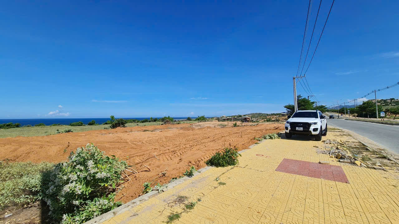 Bán đất 1000m2 tại đường 701, Xã Phước Dinh, Thuận Nam, Ninh Thuận, giá cực rẻ - Ảnh 2