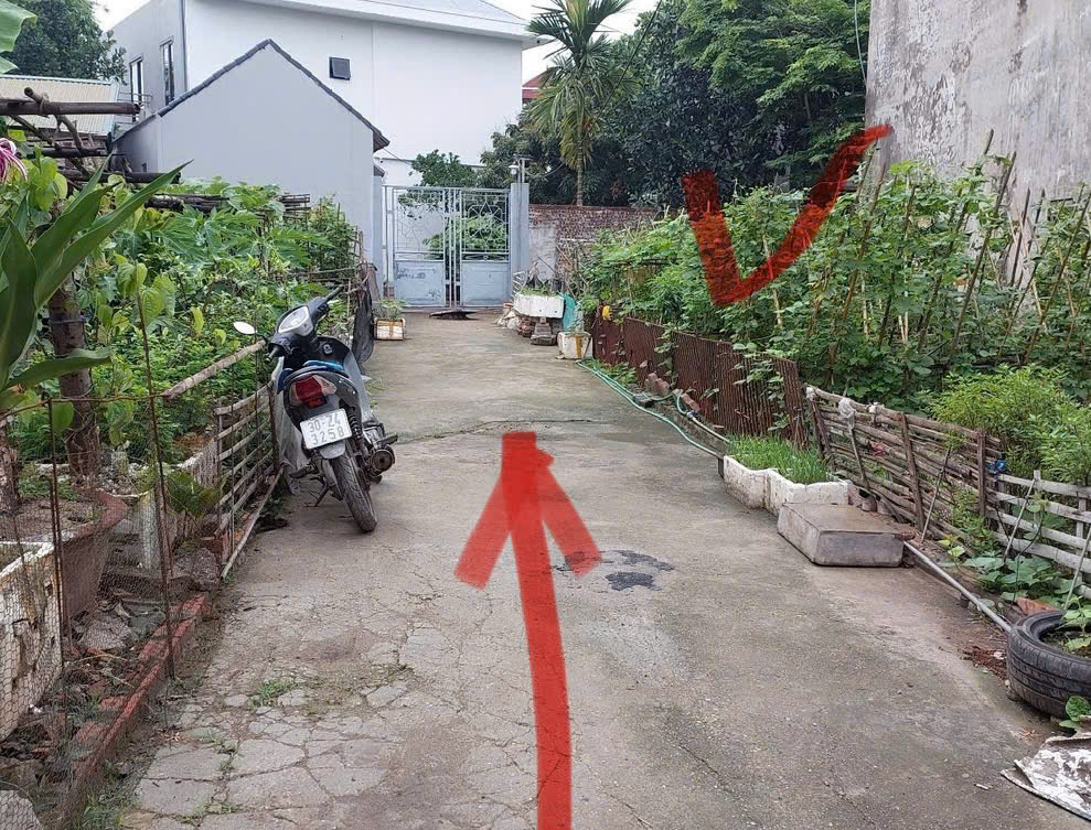 Hơn 3 tỷ sở hữu ngay 48.5m² đất Cán Khê – Phúc Thịnh - Ảnh chính