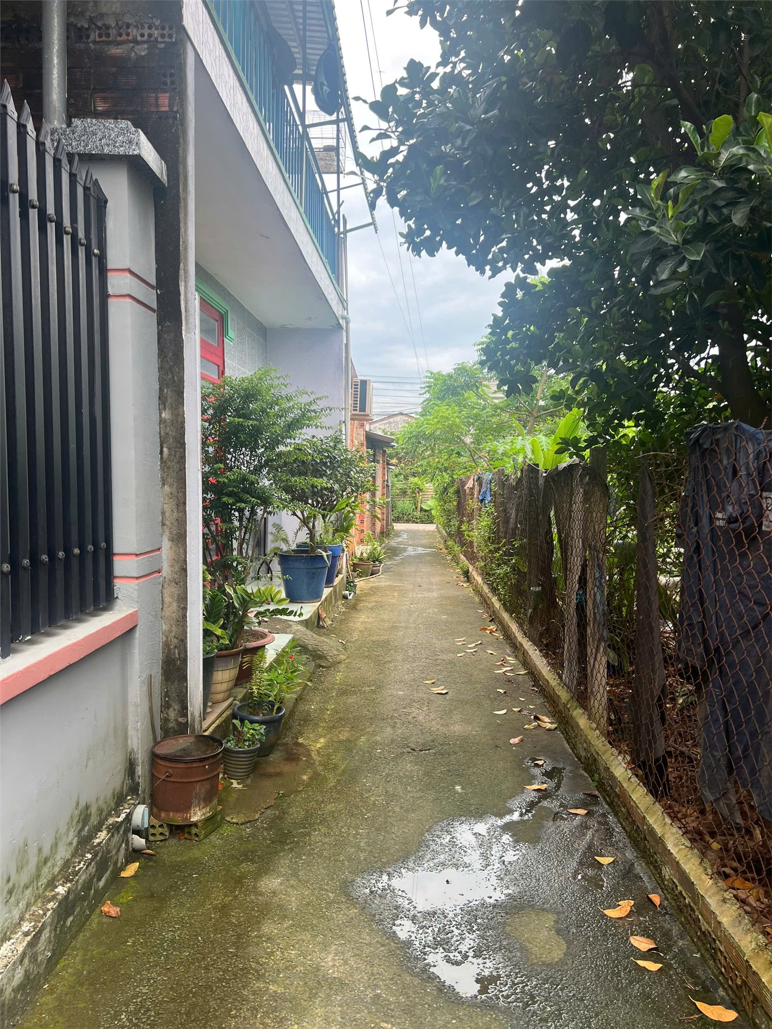 ĐẤT CHÍNH CHỦ - GIÁ TỐT - Bán Gấp Lô Đất Xã Tam An, Huyện Long Thành, Đồng Nai - Ảnh 3