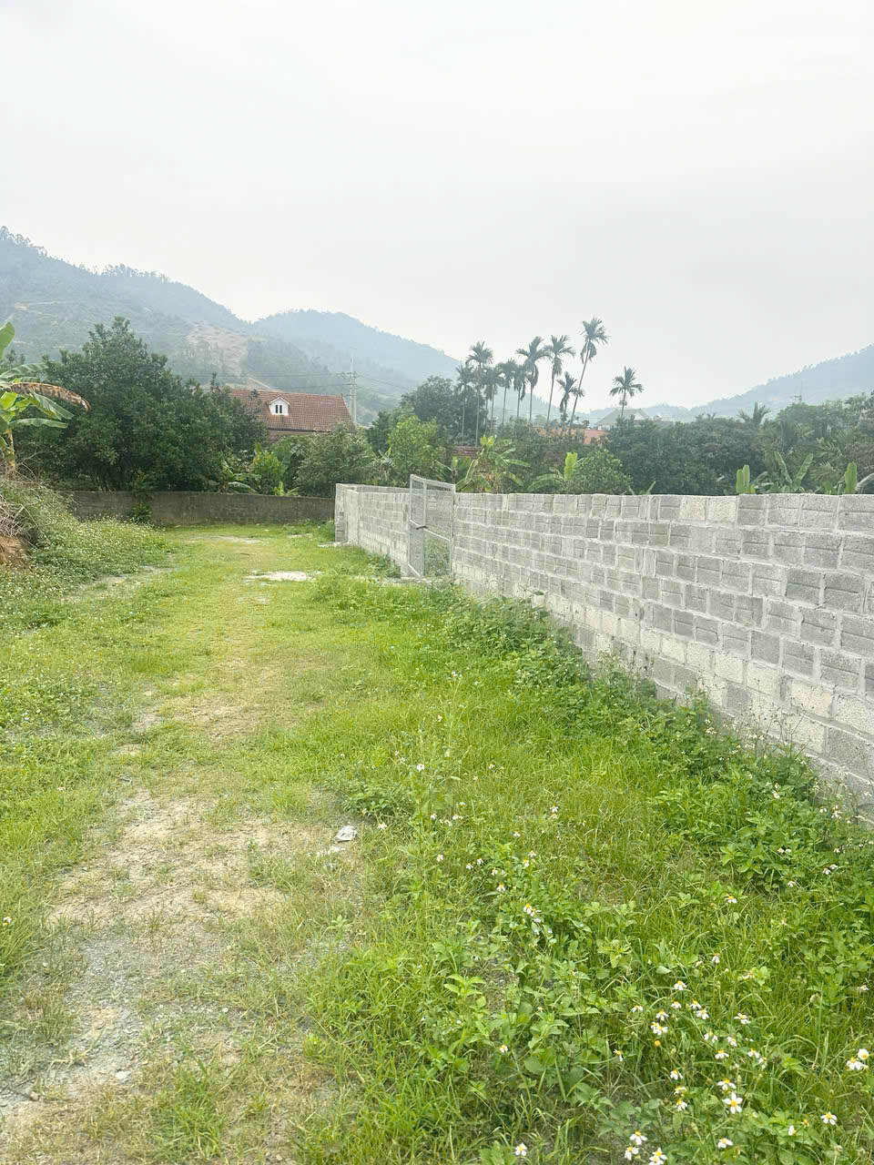SIÊU PHẨM NGHỈ DƯỠNG 1007M2, GIÁ MỀM ĐẦU TƯ - Ảnh 5