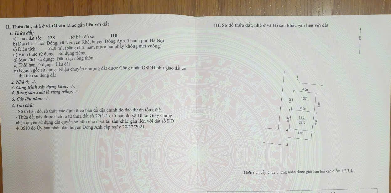 ❌❌❌CHÍNH CHỦ RA HÀNG HOA HẬU LÔ GÓC THÔN ĐỒNG-NGUYÊN KHÊ❌❌❌ - Ảnh 1
