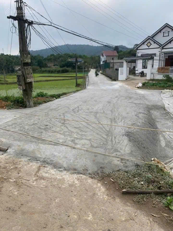 CHÍNH CHỦ CẦN BÁN LÔ ĐẤT CÓ VỊ TRÍ ĐẸP 200m2 TẠI THÔN THƯỢNG LẠP - XÃ TÂN TIẾN - H. VĨNH TƯỜNG - - Ảnh 1