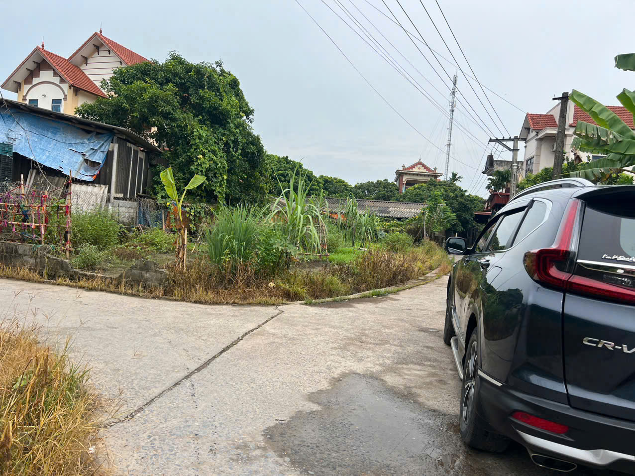Siêu Phẩm Hoàn Long. Yên Mỹ. Full thổ cư chia được 3-4 lô - Ảnh chính