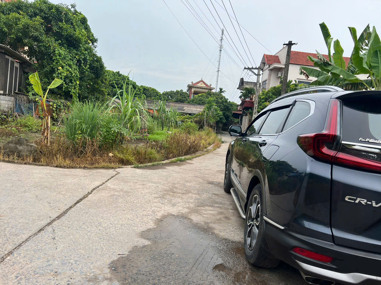 Siêu Phẩm Hoàn Long. Yên Mỹ. Full thổ cư chia được 3-4 lô - Ảnh 2