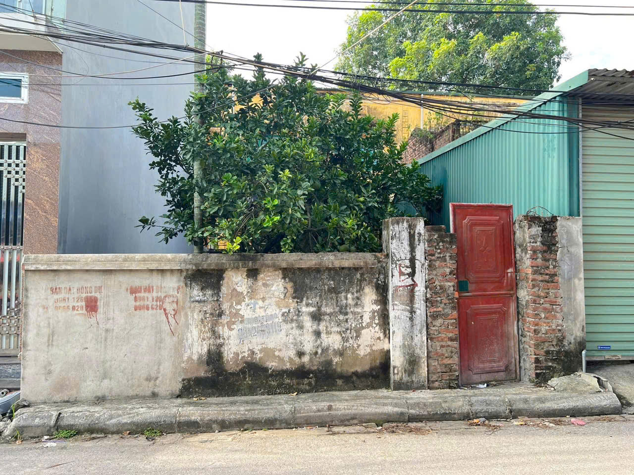 Chính chủ cần bán 59 m2 mặt đường Đông Dư - Bát Tràng, giá 8 tỷ - Ảnh 2