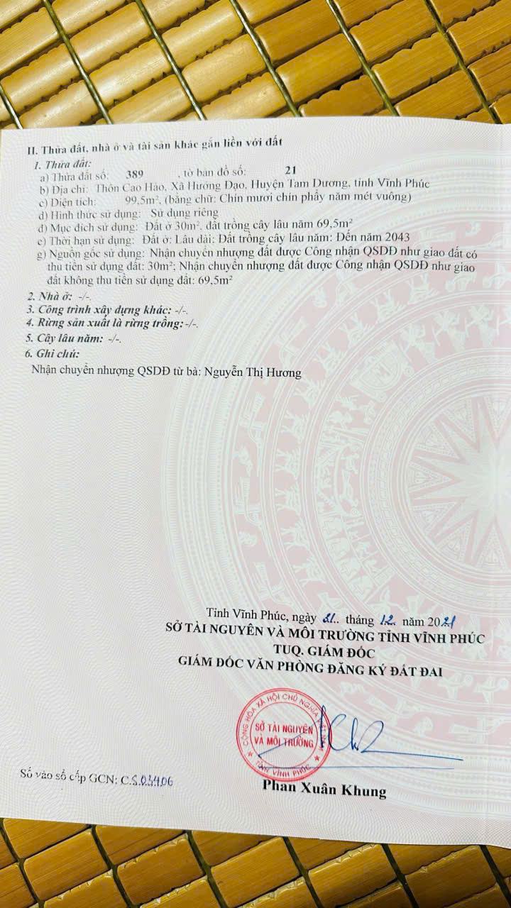 🔥CHÍNH CHỦ BÁN LÔ ĐẤT 2 MẶT TIỀN SÁT TRƯỜNG CẤP 1,2 HƯỚNG ĐẠO. - Ảnh 1