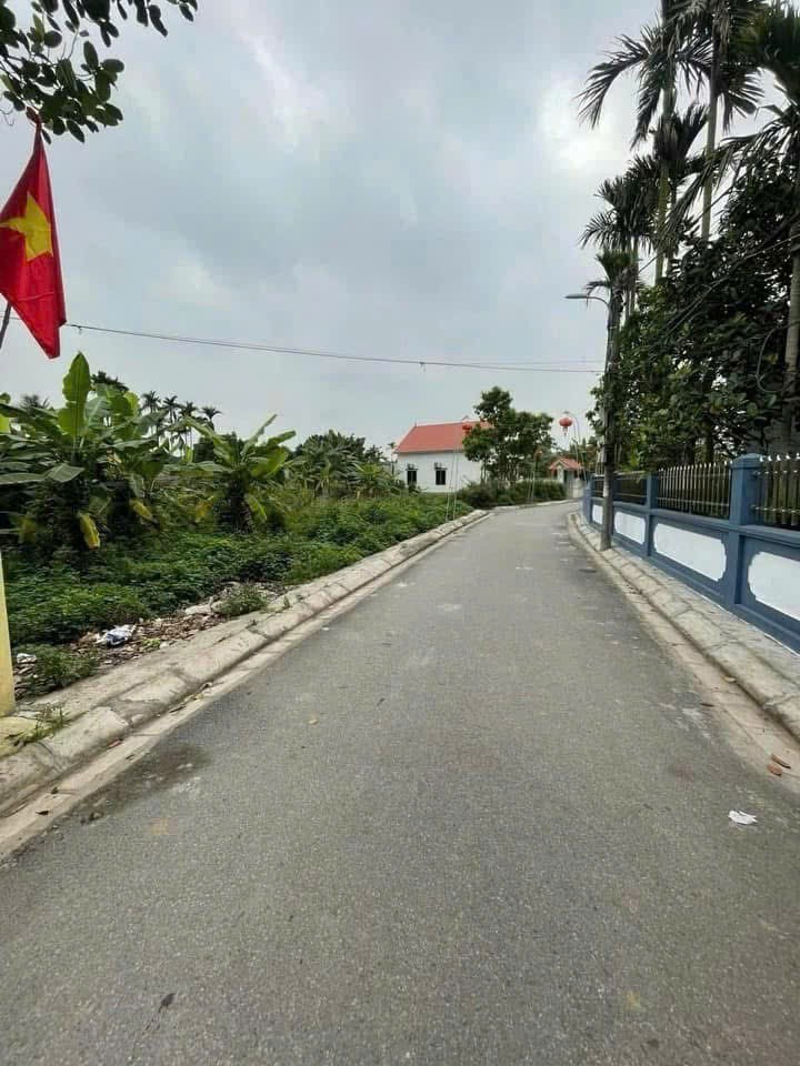 1.9 tỷ 88m2 Thượng Đức Đồ Sơn Zalo 0567222555 - Ảnh 1