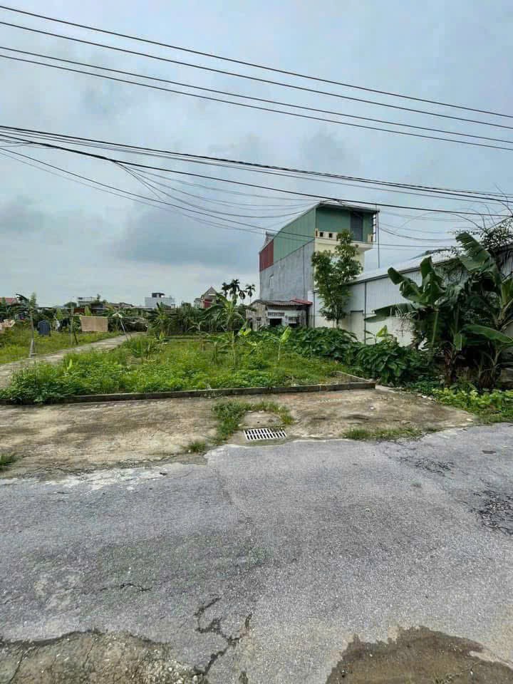 2.05 tỷ – 65.5m² Hải Thành 2, Dương Kinh – Zalo 0567222555 - Ảnh 3