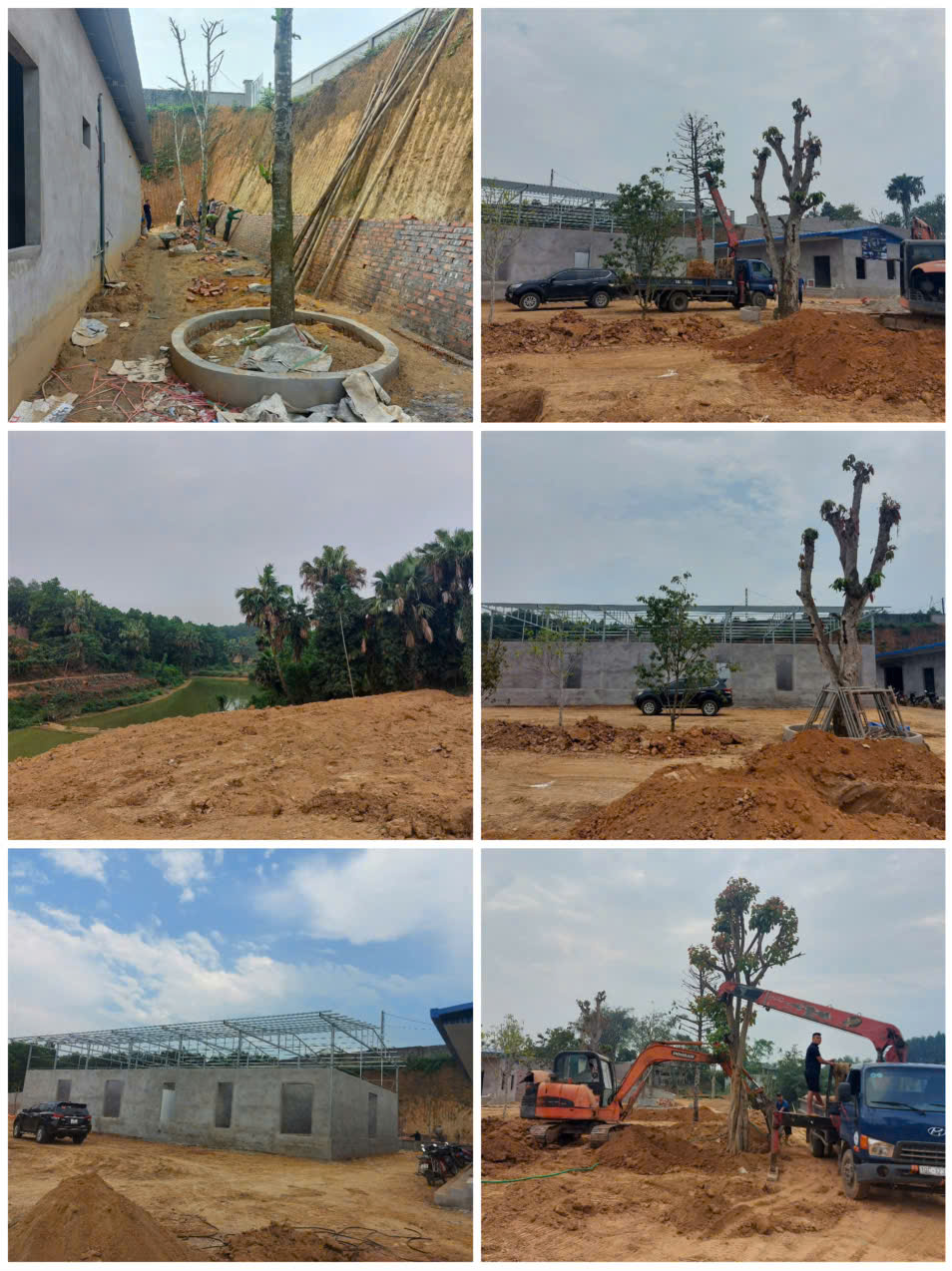 CHÀO BÁN NHÀ MÁY DƯỢC 9000m TẠI TIÊN PHÚ, PHÙ NINH, PHÚ THỌ. - Ảnh 3