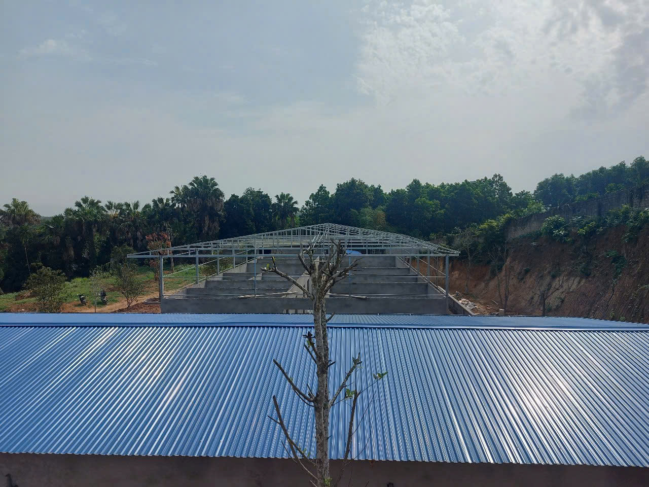 CHÀO BÁN NHÀ MÁY DƯỢC 9000m TẠI TIÊN PHÚ, PHÙ NINH, PHÚ THỌ. - Ảnh 2