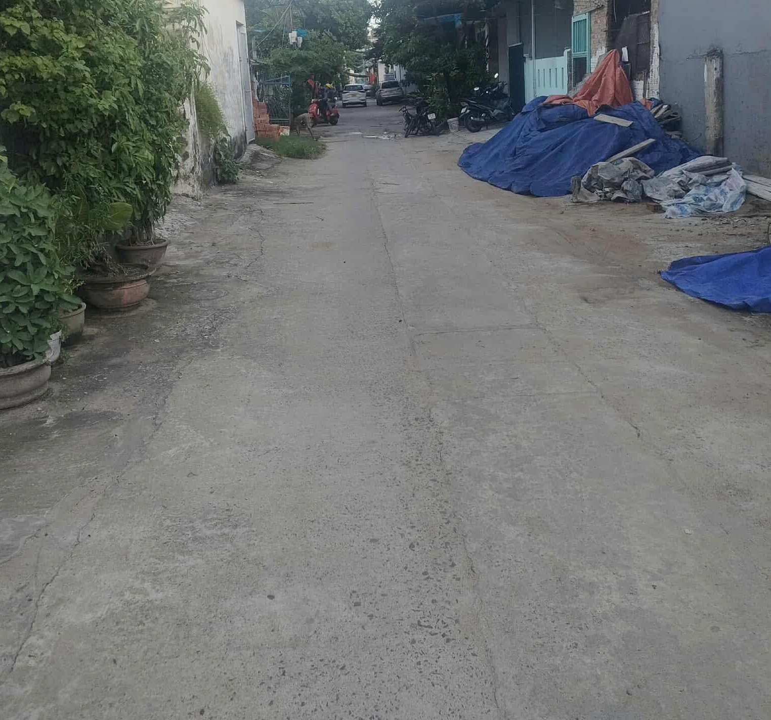 ♥ Góc kiệt Ô TÔ tránh sát MT Bà Huyện Thanh Quan, đi bộ ra Biển, 90m2, ngang 8m, nhỉnh 8 tỷ - Ảnh 2