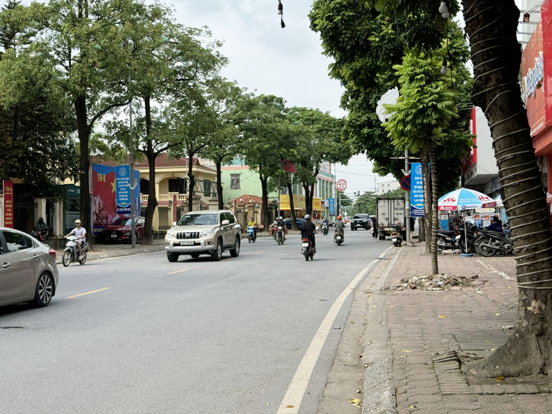 Đất Nở Hậu 78m2 Mặt Tiền 5m Phố Ngô Xuân Quảng, Đối Diện TTTM, Kinh Doanh Vô Đối - Ảnh 3