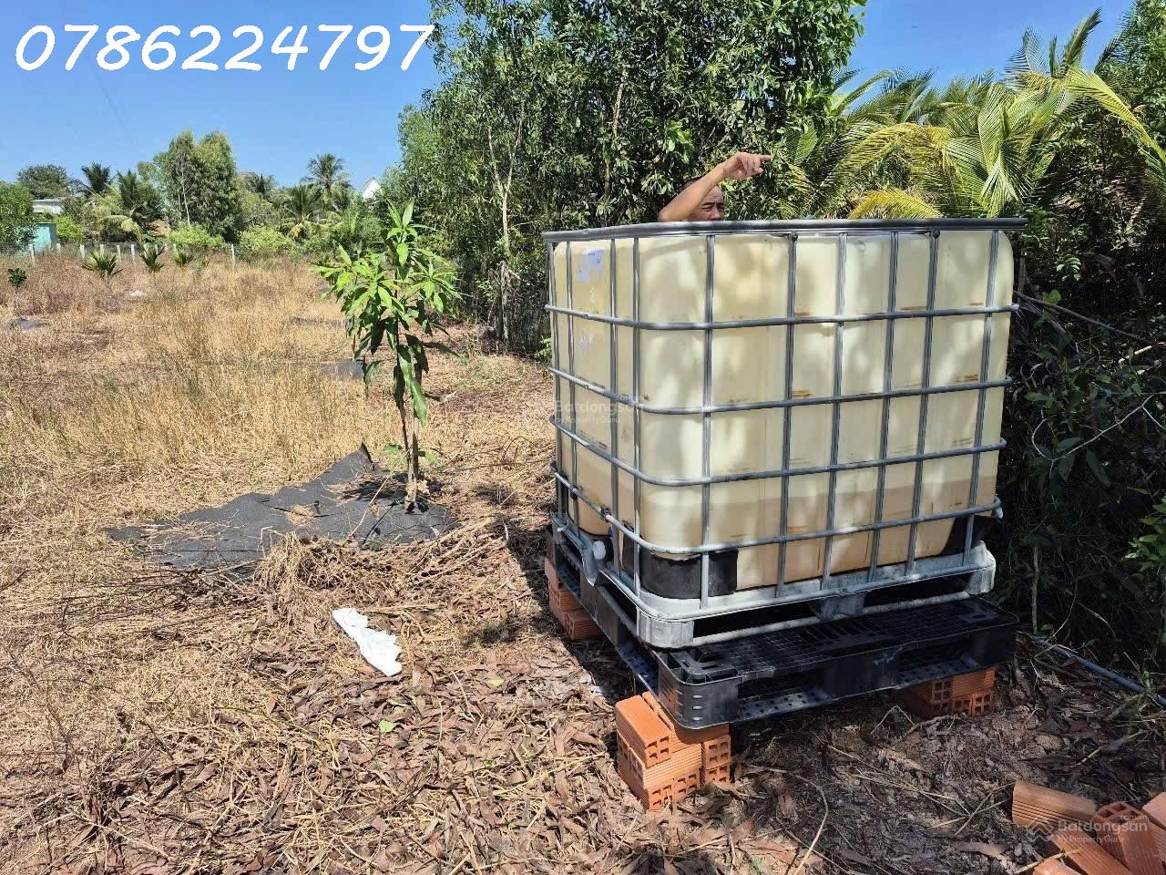 Bán đất 1075 m2 Mỹ Quý Tây, Đức Huệ, Long An, sổ hồng riêng 1.8 tỷ có thể thương lượng - Ảnh 1