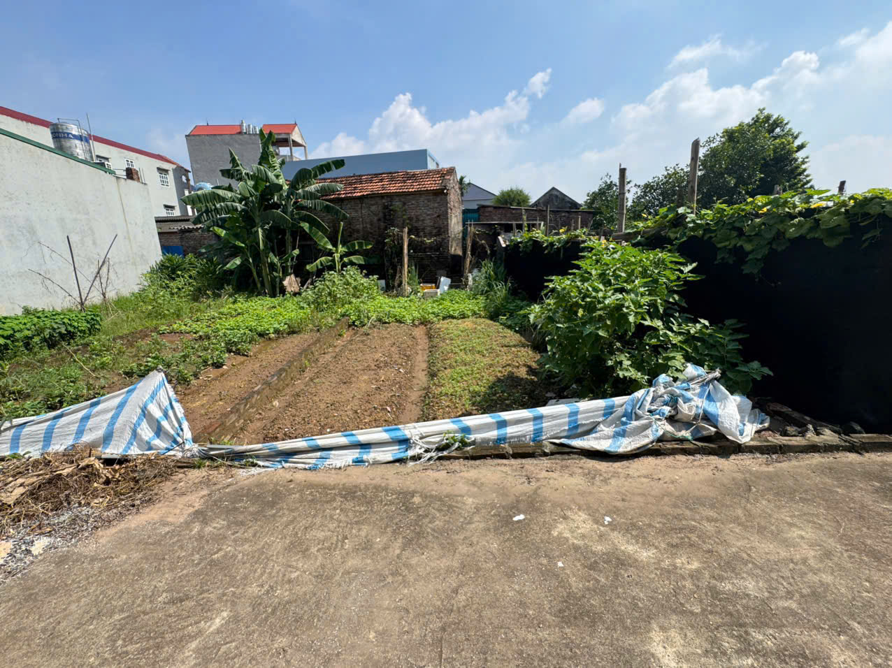 Bán đất thổ cư Thôn Do Hạ, Tiền Phong, ML - Ô tô đỗ cửa, tiện ích bao quanh - Ảnh 2