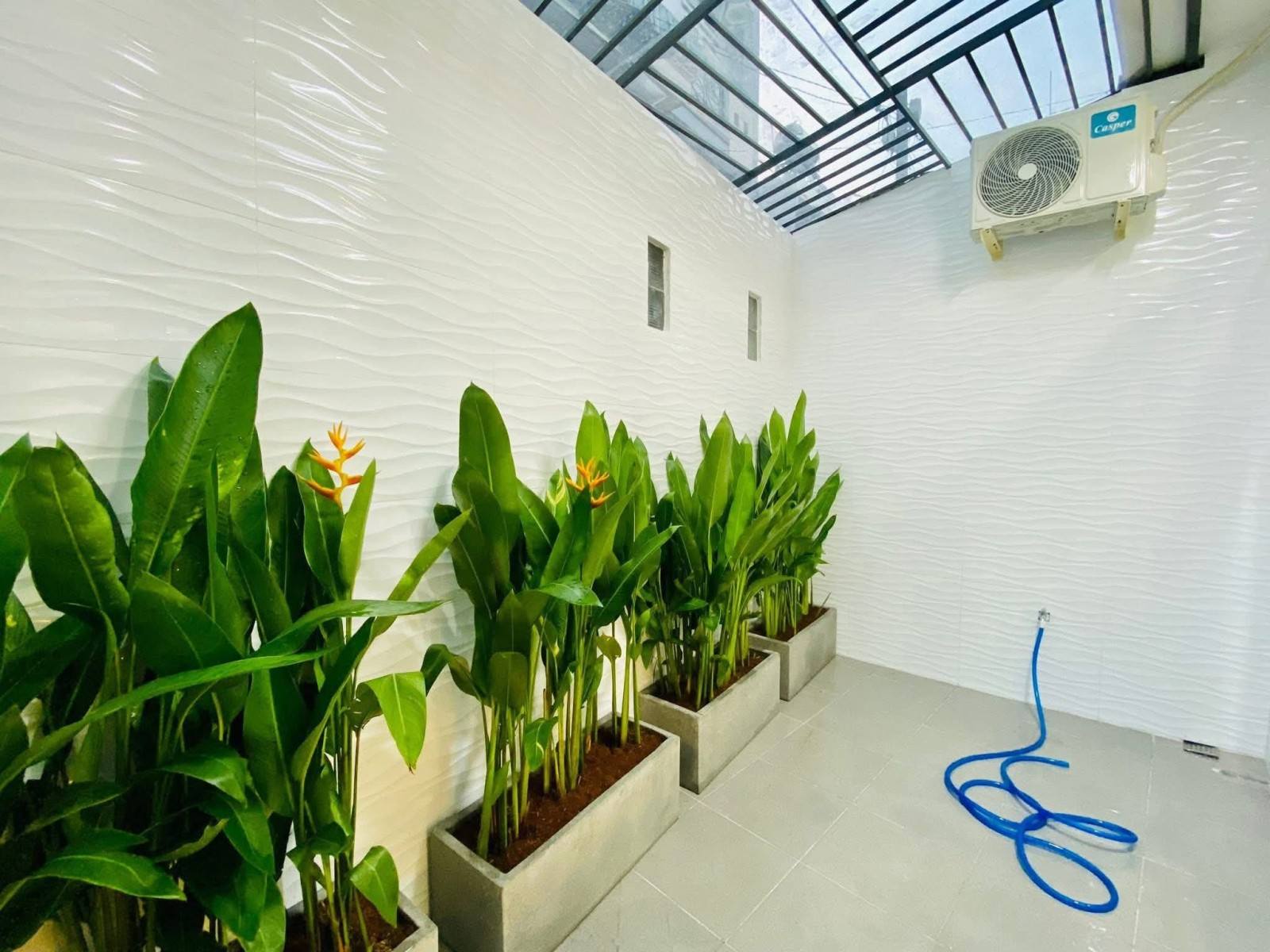 Nhà Đường Số 8 Quận Gò Vấp Phường 11 Cũ. - Ảnh 4
