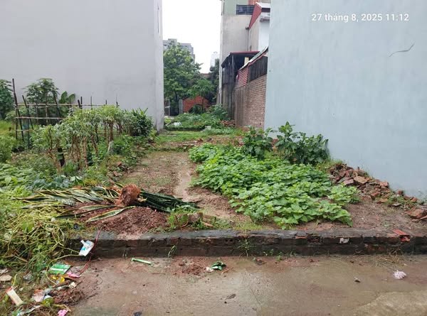 Bán đất Quang Minh 68m2, mt4.5m, 3.65 tỷ, ô tô, Mê Linh. - Ảnh chính