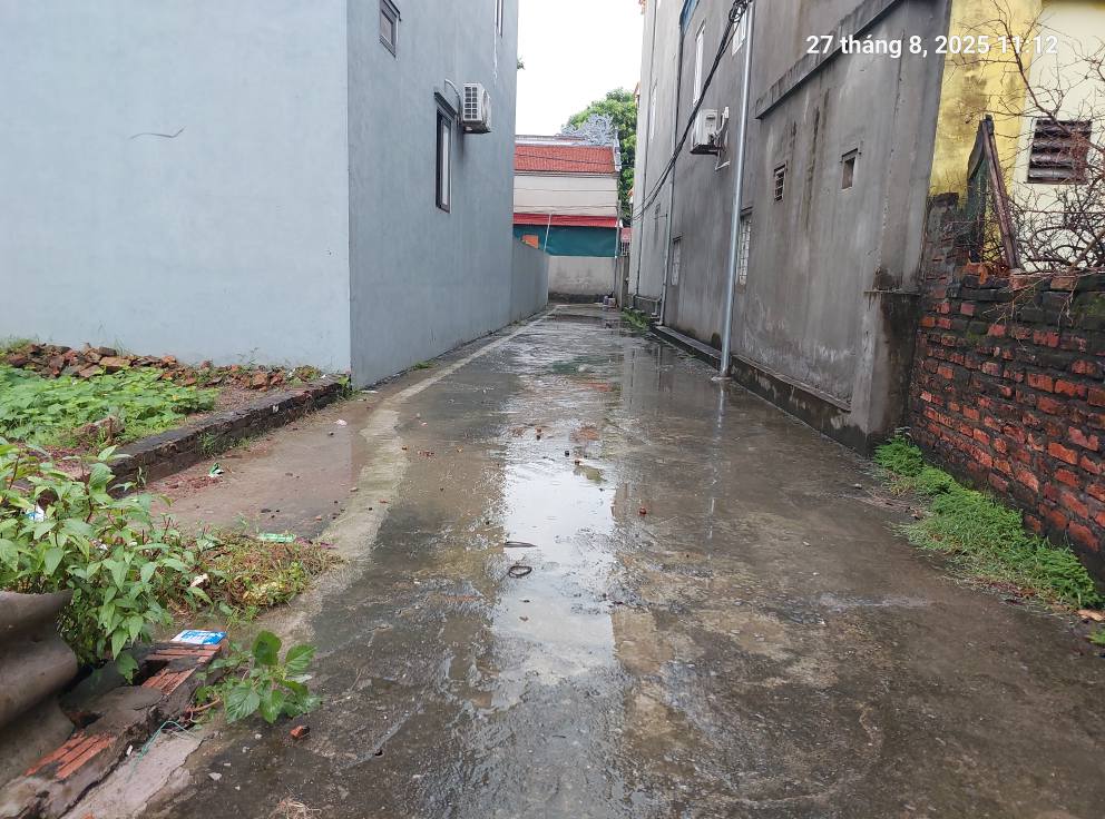 Bán đất Quang Minh 68m2, mt4.5m, 3.65 tỷ, ô tô, Mê Linh. - Ảnh 3