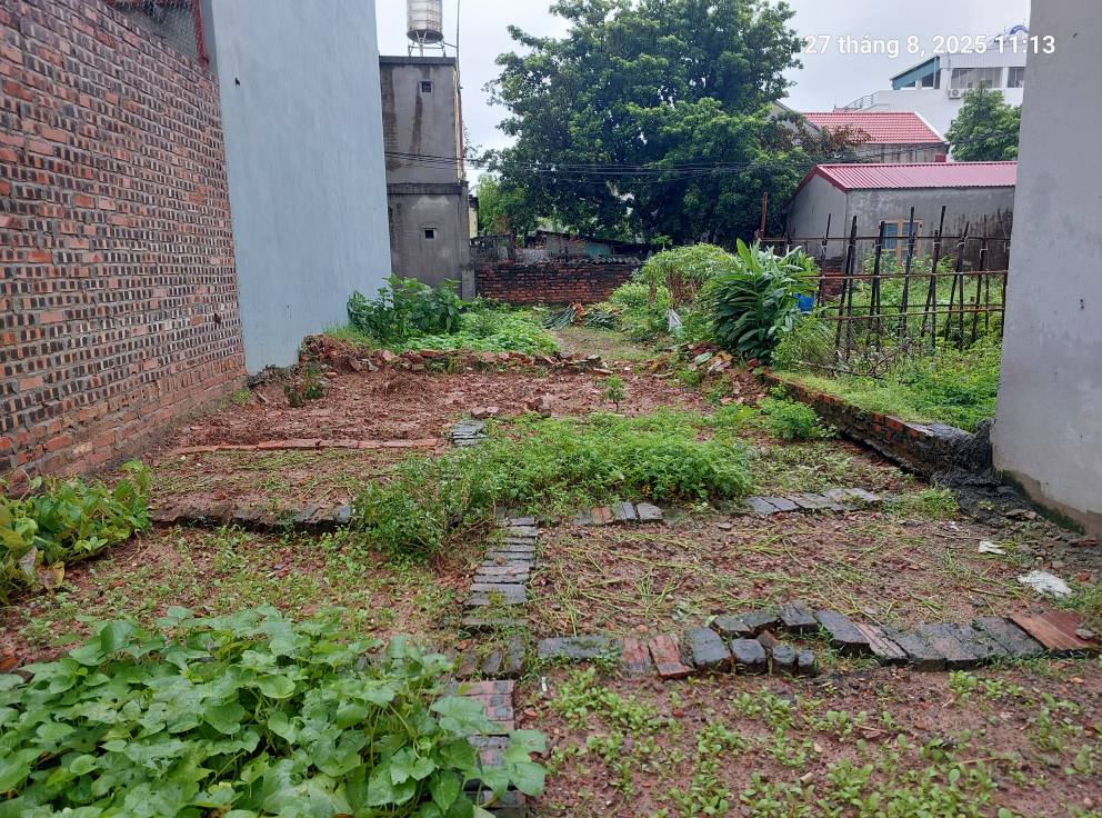 Bán đất Quang Minh 68m2, mt4.5m, 3.65 tỷ, ô tô, Mê Linh. - Ảnh 4