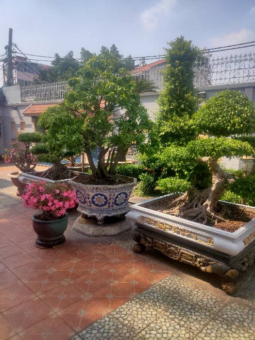Nhà Biệt thựt Mặt tiền Hồ Bá Phấn, PLA, 1050m2, ngang 30m, 79 tỷ tl - Ảnh 2