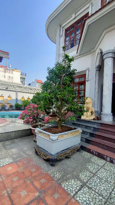 Nhà Biệt thựt Mặt tiền Hồ Bá Phấn, PLA, 1050m2, ngang 30m, 79 tỷ tl - Ảnh 1