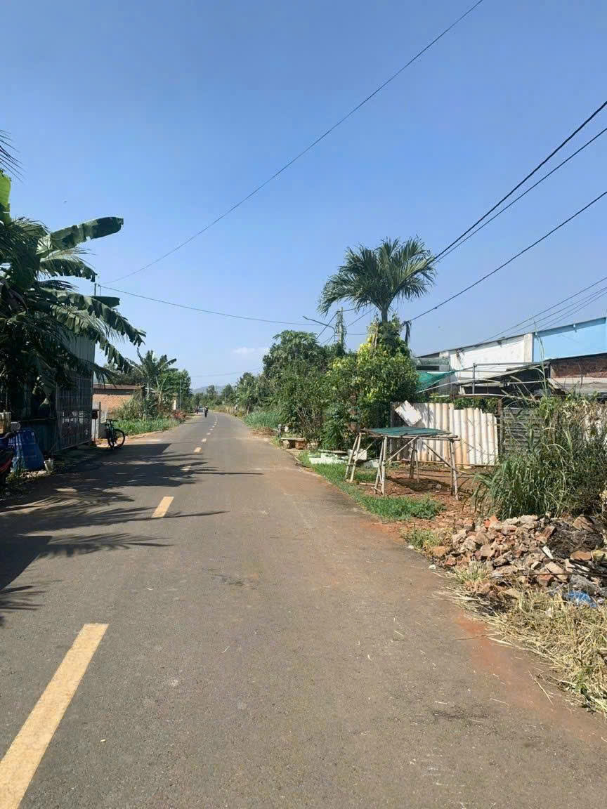 BÁN LÔ ĐẤT  TẠI PHƯỜNG TAM LONG -TP HỒ CHÍ MINH (XÃ LONG PHƯỚC -TP BÀ RỊA CŨ) - Ảnh 3
