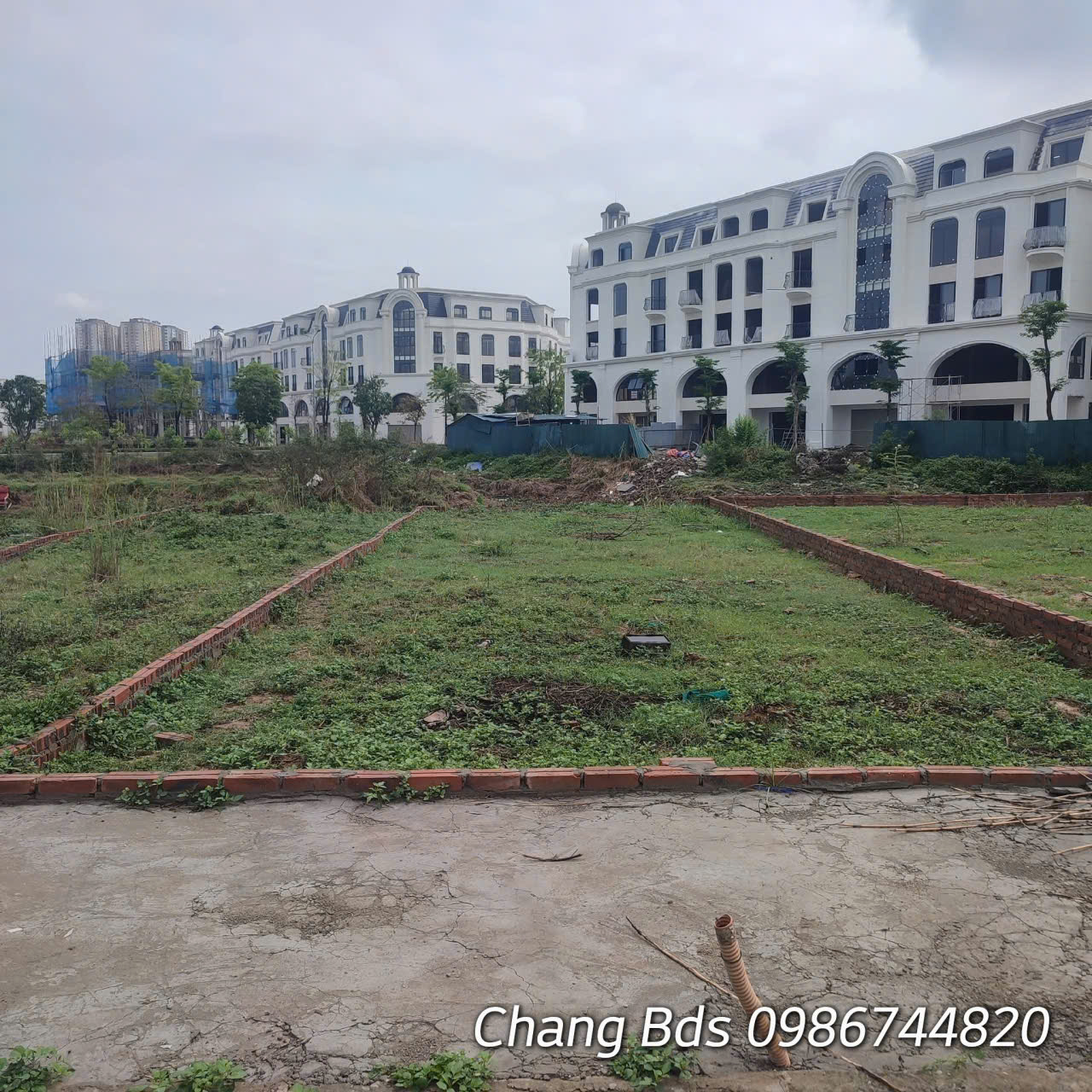 GIÁ RẺ ĐẦU TƯ SINH LỜI! BÁN GẤP DỊCH VỤ 16,32HA DI TRẠCH- HOÀI ĐỨC - Ảnh 2