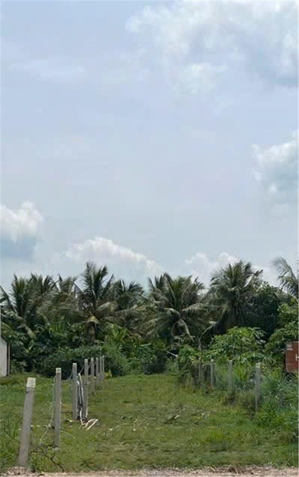 ĐẤT CHÍNH CHỦ - MẶT TIỀN Đường Số 2, Xã Hoà Khánh Đông, Đức Hòa, Long An - Ảnh chính