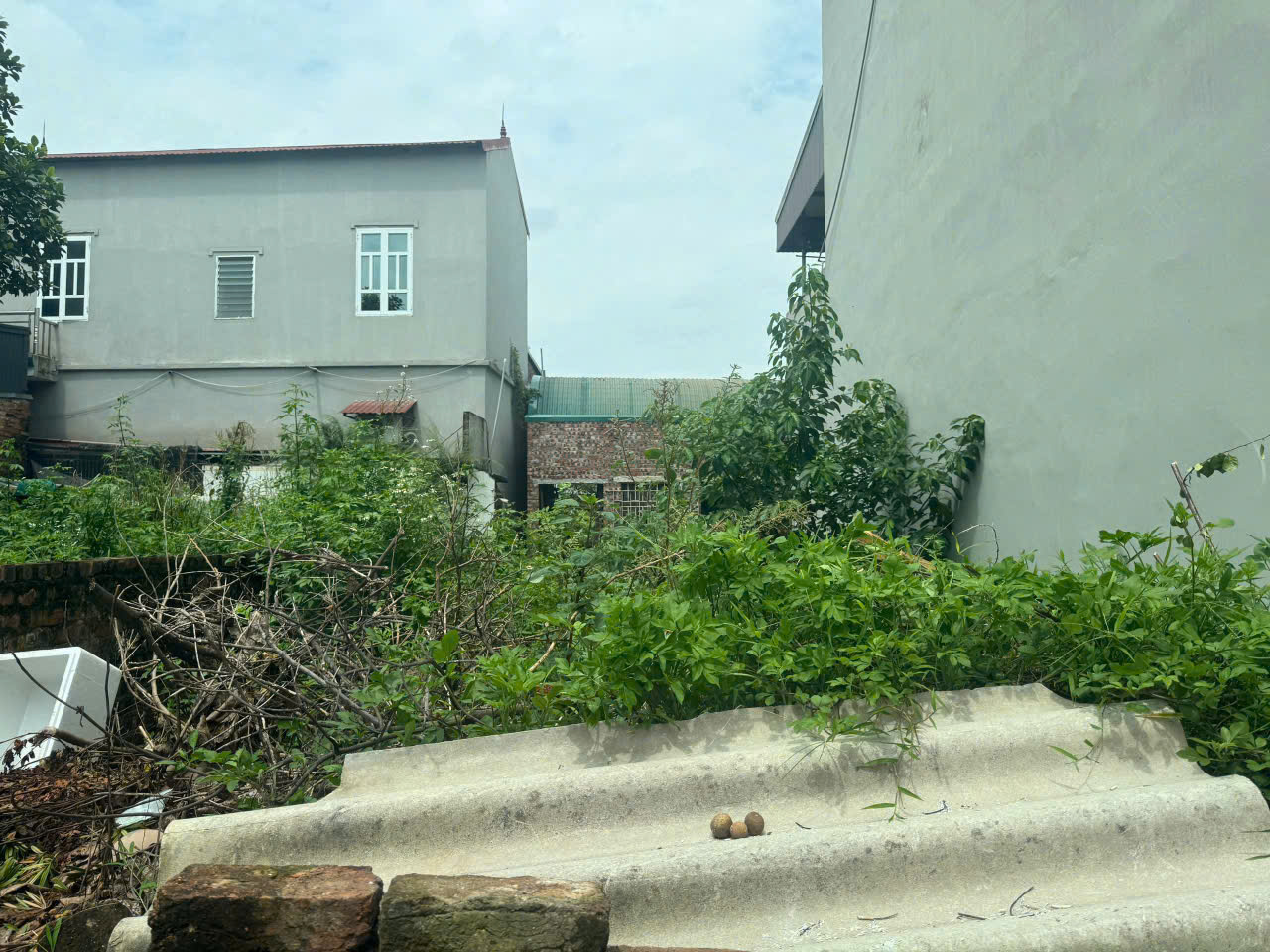 BÁN ĐẤT 79.8M2 UY NỖ ĐÔNG ANH - ĐƯỜNG THÔNG Ô TÔ - Ảnh 1