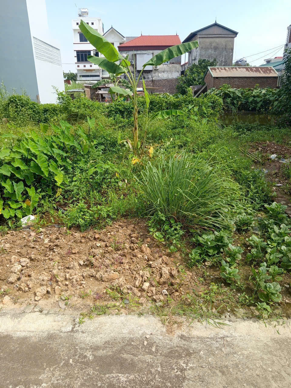 Bán đất thôn Ấp Tre (Tổ 9), Quang Minh, thành phố Hà Nội. Đường thông bàn cờ, oto đỗ - Ảnh 1